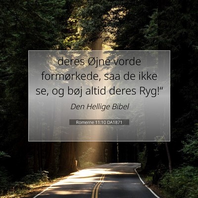 Picture 07 - Romerne 11:10 DA1871 - deres Øjne vorde formørkede, saa de ikke se, og - Bible Verse Picture