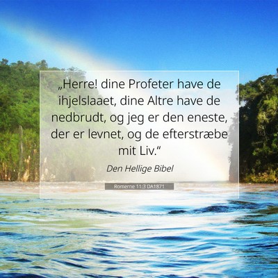 Picture 07 - Romerne 11:3 DA1871 - „Herre! dine Profeter have de ihjelslaaet, dine - Bible Verse Picture