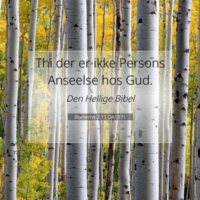 Picture 07 - Romerne 2:11 DA1871 - Thi der er ikke Persons Anseelse hos - Bible Verse Picture