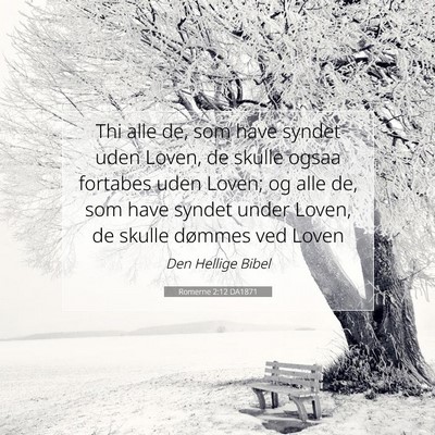 Picture 07 - Romerne 2:12 DA1871 - Thi alle de, som have syndet uden Loven, de - Bible Verse Picture