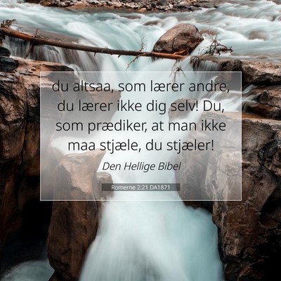 Picture 07 - Romerne 2:21 DA1871 - du altsaa, som lærer andre, du lærer ikke dig - Bible Verse Picture