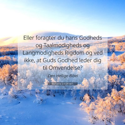 Picture 07 - Romerne 2:4 DA1871 - Eller foragter du hans Godheds og Taalmodigheds - Bible Verse Picture