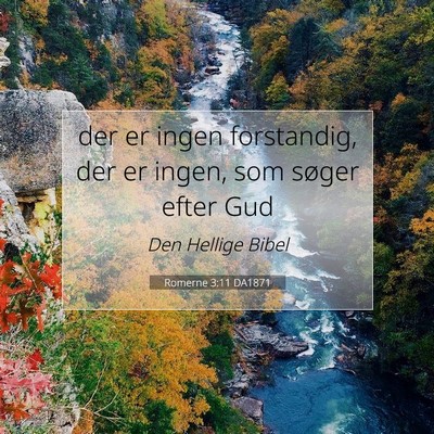 Picture 07 - Romerne 3:11 DA1871 - der er ingen forstandig, der er ingen, som søger - Bible Verse Picture