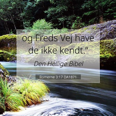 Picture 07 - Romerne 3:17 DA1871 - og Freds Vej have de ikke - Bible Verse Picture