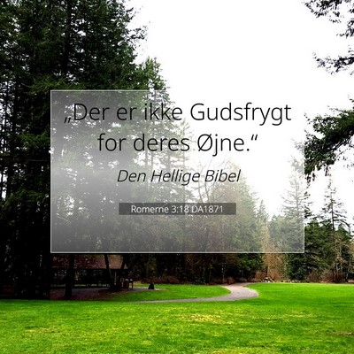 Picture 07 - Romerne 3:18 DA1871 - „Der er ikke Gudsfrygt for deres - Bible Verse Picture