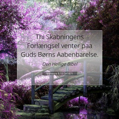 Picture 07 - Romerne 8:19 DA1871 - Thi Skabningens Forlængsel venter paa Guds - Bible Verse Picture