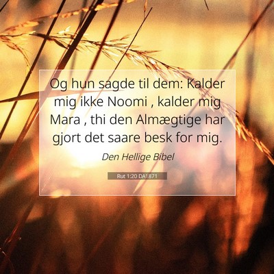 Picture 07 - Rut 1:20 DA1871 - Og hun sagde til dem: Kalder mig ikke Noomi , - Bible Verse Picture