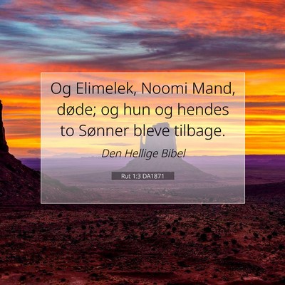 Picture 07 - Rut 1:3 DA1871 - Og Elimelek, Noomi Mand, døde; og hun og hendes - Bible Verse Picture