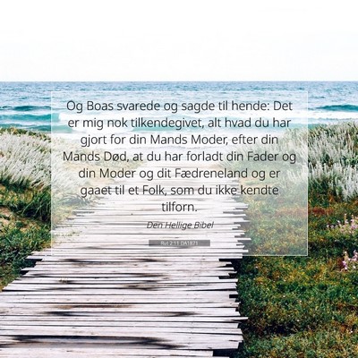 Picture 07 - Rut 2:11 DA1871 - Og Boas svarede og sagde til hende: Det er mig - Bible Verse Picture