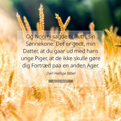Picture 07 - Rut 2:22 DA1871 - Og Noomi sagde til Ruth, sin Sønnekone: Det er - Bible Verse Picture