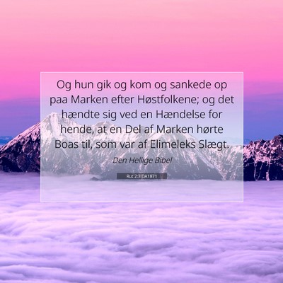 Picture 07 - Rut 2:3 DA1871 - Og hun gik og kom og sankede op paa Marken efter - Bible Verse Picture
