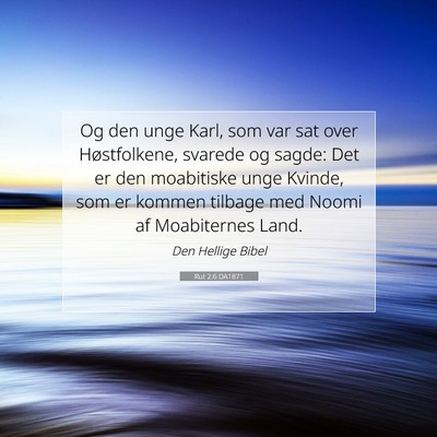 Picture 07 - Rut 2:6 DA1871 - Og den unge Karl, som var sat over Høstfolkene, - Bible Verse Picture