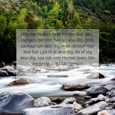 Picture 07 - Rut 3:13 DA1871 - Bliv her Natten over, og det skal ske i Morgen, - Bible Verse Picture