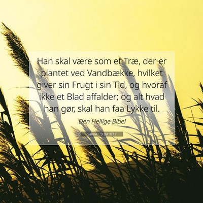 Picture 07 - Salme 1:3 DA1871 - Han skal være som et Træ, der er plantet ved - Bible Verse Picture