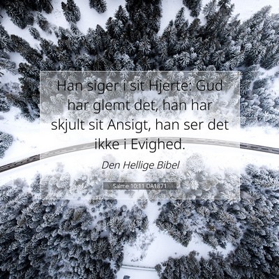 Picture 07 - Salme 10:11 DA1871 - Han siger i sit Hjerte: Gud har glemt det, han - Bible Verse Picture
