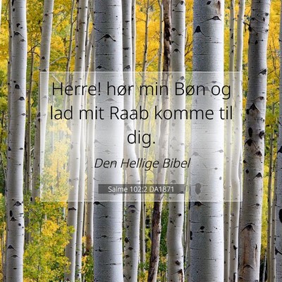 Picture 07 - Salme 102:2 DA1871 - Herre! hør min Bøn og lad mit Raab komme til - Bible Verse Picture