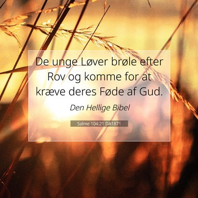 Picture 07 - Salme 104:21 DA1871 - De unge Løver brøle efter Rov og komme for at - Bible Verse Picture
