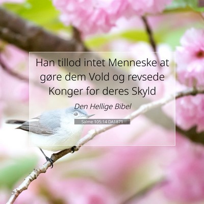 Picture 07 - Salme 105:14 DA1871 - Han tillod intet Menneske at gøre dem Vold og - Bible Verse Picture