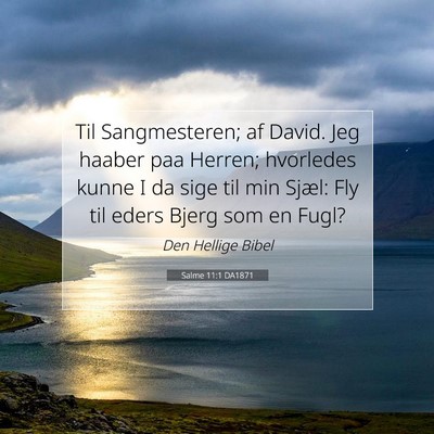 Picture 07 - Salme 11:1 DA1871 - Til Sangmesteren; af David. Jeg haaber paa - Bible Verse Picture