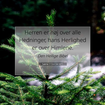 Picture 07 - Salme 113:4 DA1871 - Herren er høj over alle Hedninger, hans - Bible Verse Picture
