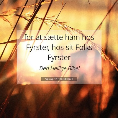 Picture 07 - Salme 113:8 DA1871 - for at sætte ham hos Fyrster, hos sit Folks - Bible Verse Picture