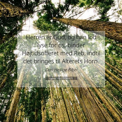 Picture 07 - Salme 118:27 DA1871 - Herren er Gud, og han lod lyse for os; binder - Bible Verse Picture