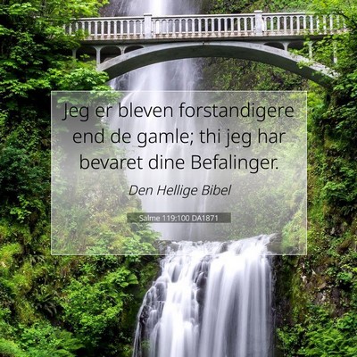 Picture 07 - Salme 119:100 DA1871 - Jeg er bleven forstandigere end de gamle; thi jeg - Bible Verse Picture