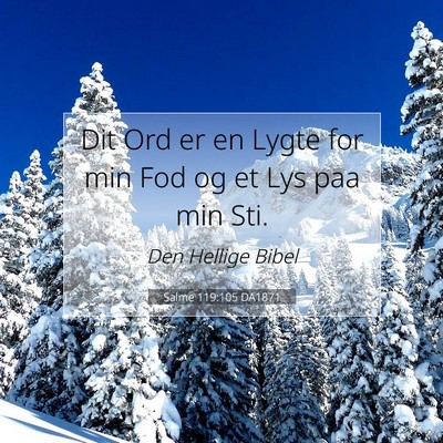 Picture 07 - Salme 119:105 DA1871 - Dit Ord er en Lygte for min Fod og et Lys paa min - Bible Verse Picture