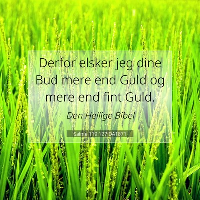 Picture 07 - Salme 119:127 DA1871 - Derfor elsker jeg dine Bud mere end Guld og mere - Bible Verse Picture