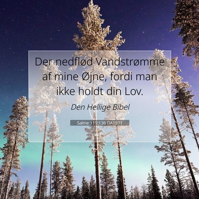 Picture 07 - Salme 119:136 DA1871 - Der nedflød Vandstrømme af mine Øjne, fordi - Bible Verse Picture