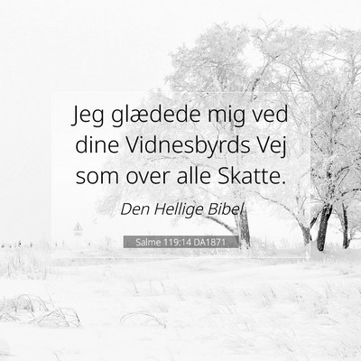 Picture 07 - Salme 119:14 DA1871 - Jeg glædede mig ved dine Vidnesbyrds Vej som - Bible Verse Picture