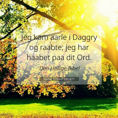 Picture 07 - Salme 119:147 DA1871 - Jeg kom aarle i Daggry og raabte; jeg har haabet - Bible Verse Picture