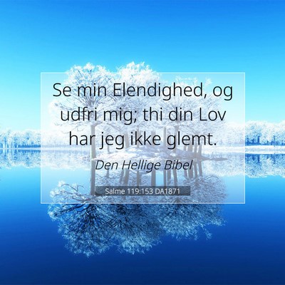 Picture 07 - Salme 119:153 DA1871 - Se min Elendighed, og udfri mig; thi din Lov har - Bible Verse Picture
