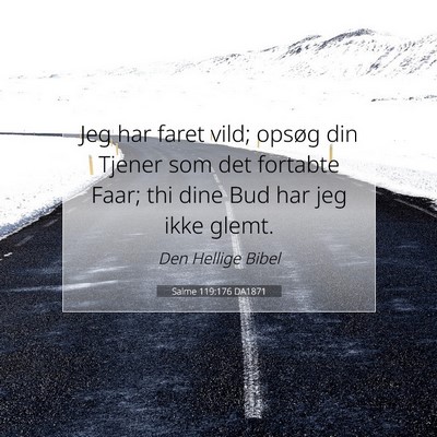 Picture 07 - Salme 119:176 DA1871 - Jeg har faret vild; opsøg din Tjener som det - Bible Verse Picture