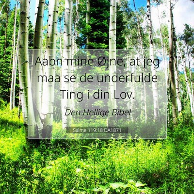 Picture 07 - Salme 119:18 DA1871 - Aabn mine Øjne, at jeg maa se de underfulde Ting - Bible Verse Picture
