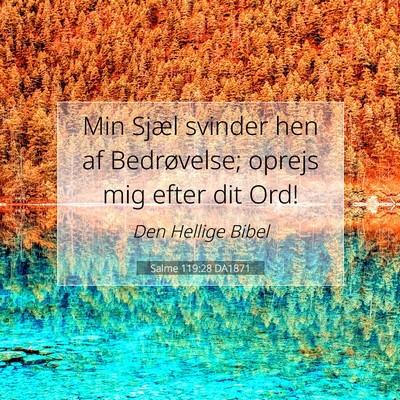 Picture 07 - Salme 119:28 DA1871 - Min Sjæl svinder hen af Bedrøvelse; oprejs mig - Bible Verse Picture