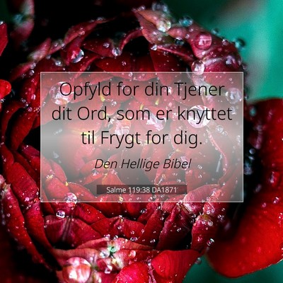 Picture 07 - Salme 119:38 DA1871 - Opfyld for din Tjener dit Ord, som er knyttet til - Bible Verse Picture