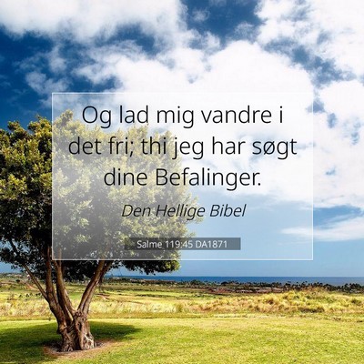 Picture 07 - Salme 119:45 DA1871 - Og lad mig vandre i det fri; thi jeg har søgt - Bible Verse Picture
