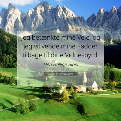 Picture 07 - Salme 119:59 DA1871 - Jeg betænkte mine Veje, og jeg vil vende mine - Bible Verse Picture
