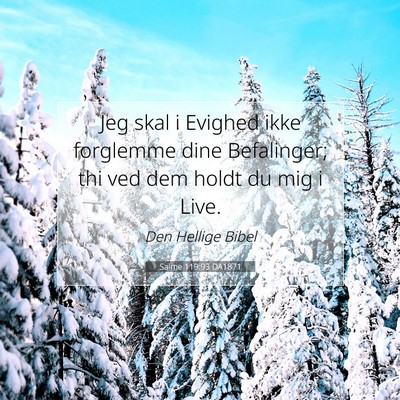 Picture 07 - Salme 119:93 DA1871 - Jeg skal i Evighed ikke forglemme dine - Bible Verse Picture