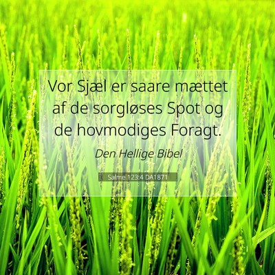 Picture 07 - Salme 123:4 DA1871 - Vor Sjæl er saare mættet af de sorgløses Spot - Bible Verse Picture