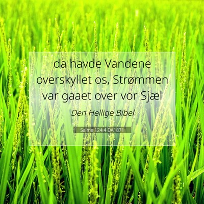 Picture 07 - Salme 124:4 DA1871 - da havde Vandene overskyllet os, Strømmen var - Bible Verse Picture