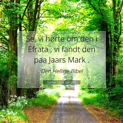 Picture 07 - Salme 132:6 DA1871 - Se, vi hørte om den i Efrata ; vi fandt den paa - Bible Verse Picture