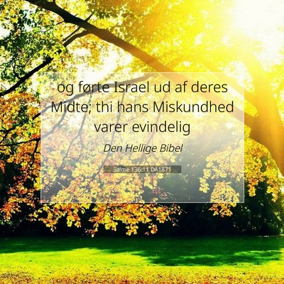 Picture 07 - Salme 136:11 DA1871 - og førte Israel ud af deres Midte; thi hans - Bible Verse Picture