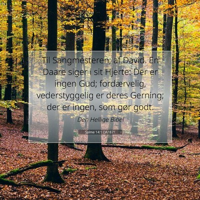 Picture 07 - Salme 14:1 DA1871 - Til Sangmesteren; af David. En Daare siger i sit - Bible Verse Picture