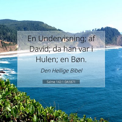 Picture 07 - Salme 142:1 DA1871 - En Undervisning; af David; da han var i Hulen; en - Bible Verse Picture