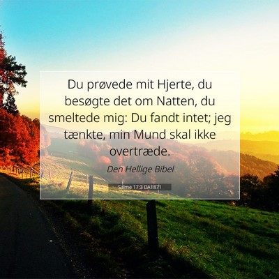 Picture 07 - Salme 17:3 DA1871 - Du prøvede mit Hjerte, du besøgte det om - Bible Verse Picture