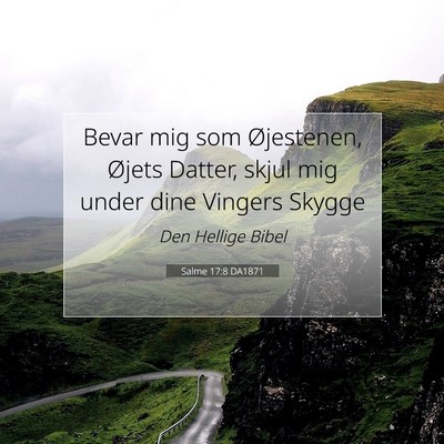 Picture 07 - Salme 17:8 DA1871 - Bevar mig som Øjestenen, Øjets Datter, skjul - Bible Verse Picture
