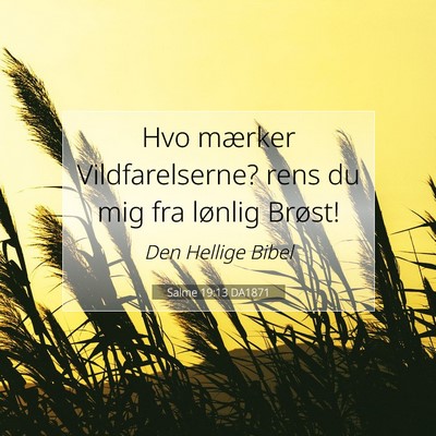 Picture 07 - Salme 19:13 DA1871 - Hvo mærker Vildfarelserne? rens du mig fra - Bible Verse Picture