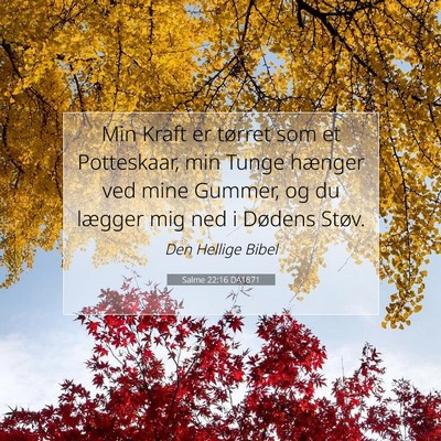 Picture 07 - Salme 22:16 DA1871 - Min Kraft er tørret som et Potteskaar, min Tunge - Bible Verse Picture